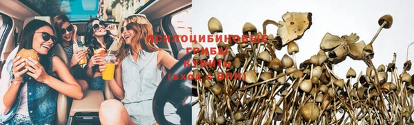 дурь Алзамай